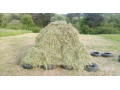 vrecovane-seno-small-3