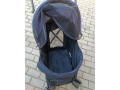 kenyone-kocik-pre-psa-a-macky-small-4