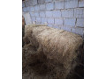 predam-prebytocne-seno-small-1
