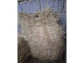 predam-prebytocne-seno-small-2