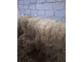 predam-prebytocne-seno-small-0