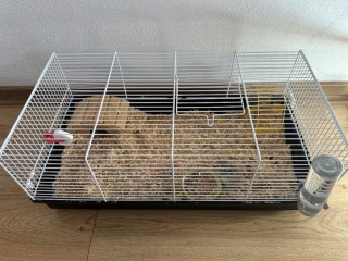 skrecok-klietka-jedlo-a-piliny