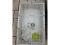 predam-dve-klietky-pre-hlodavce-small-0