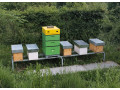 predam-odlozence-b-small-0
