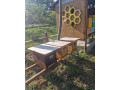 vcely-small-0