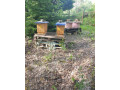 predam-odlozence-small-2
