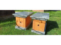 rojak-vceli-ul-small-0