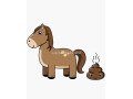 predam-konsky-hnoj-small-0