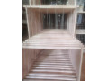 ptedam-vcelie-ramiky-small-1