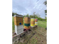 ulove-zostavy-b10-small-0