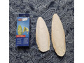 sepiova-kost-small-0