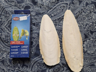 sepiova-kost