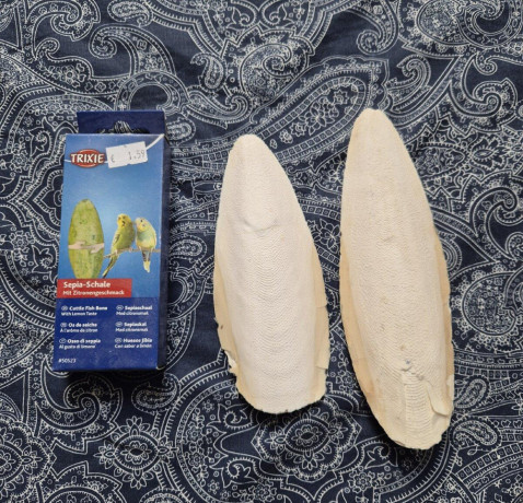 sepiova-kost-big-0