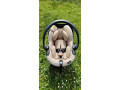 vajicko-do-auta-besafe-izi-modular-small-1