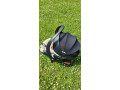 vajicko-do-auta-besafe-izi-modular-small-4