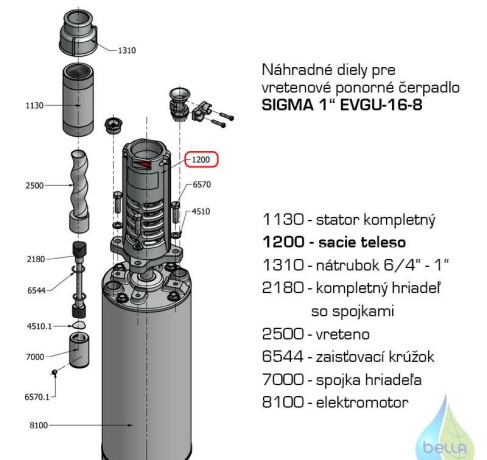 sigma-evgu-big-1