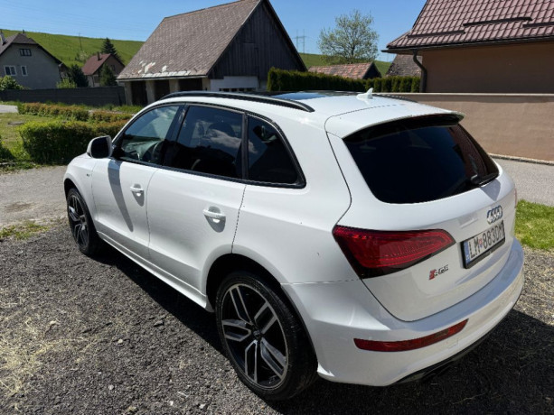 audi-sq5-audi-sq5-30-tfsi-big-2