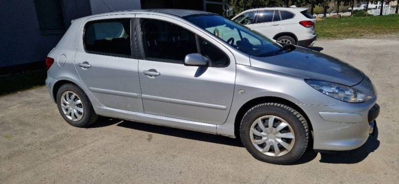 peugeot-307-2007-big-0