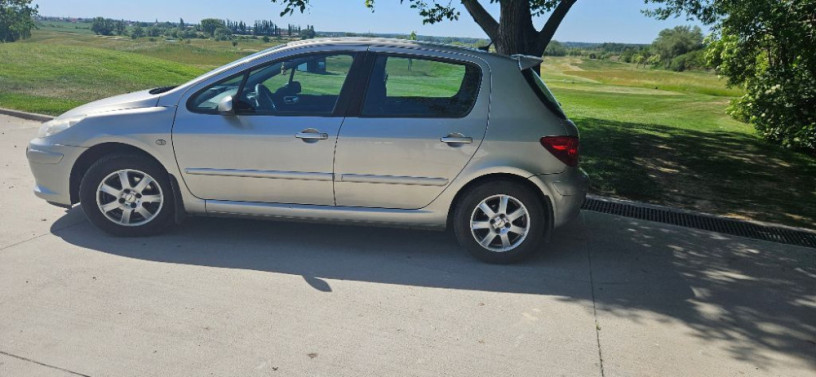 peugeot-307-16i-16v-confort-pack-80kw110hp-m5-big-0