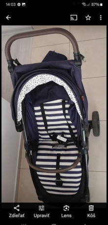 kocik-pettit-mars-big-2