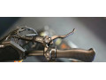 kukirin-masterhydraulicke-brzdy-xod-small-1