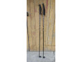 palice-na-inline-s-kovovym-hrotom-small-2