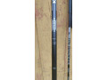 palice-na-inline-s-kovovym-hrotom-small-0