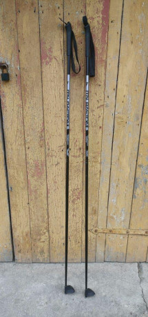 palice-na-inline-s-kovovym-hrotom-big-2
