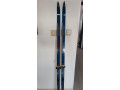 bezky-artis-170cm-small-3