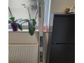 damske-zjazdove-lyze-160cm-elan-small-0
