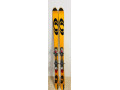 lyze-salomon-small-1