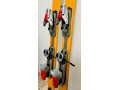 lyze-salomon-small-2