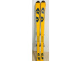 lyze-salomon-small-0