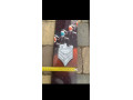 predam-skialp-small-4
