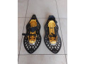 sneznice-small-0