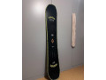 predam-snowboard-arbor-small-3