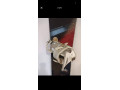 snowboard-ride-control-155-s-viazanim-small-3