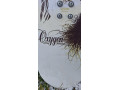 snowboard-149cm-small-2