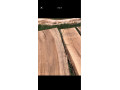 orechove-fosne-dosky-small-3