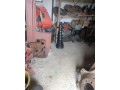 zetor-nd-small-1