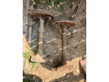 predam-napravy-s-prevodovkou-small-1