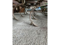 kultivator-small-1