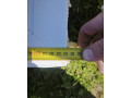 plny-svetlik-na-vchodove-dvere-small-1