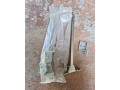 koordinator-postupneho-zatvarania-dorma-small-0