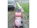 predam-kosacku-small-0