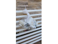 kupelnovy-radiator-120x60-biely-small-2