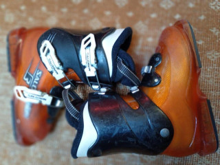 salomon-t3
