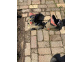 predam-lyziarky-small-2