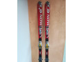 predam-lyze-salomon-carving-175-cm-small-3