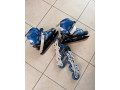 rastuce-korcule-35-38-small-0
